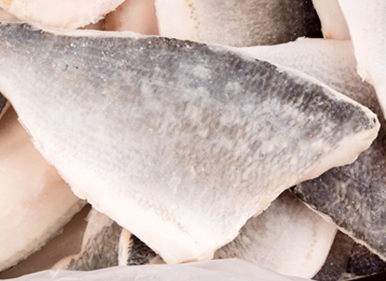 pescado