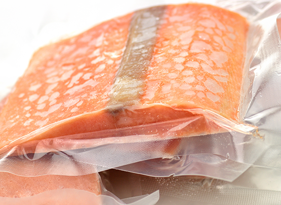 salmon